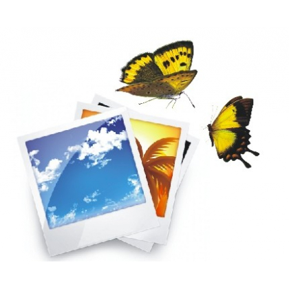 Фотоколлажи с бабочками