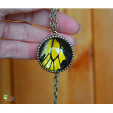 Медальон с фрагментом  крыла бабочки Золотая Птицекрылка под стеклом - " Золотая Жила" 