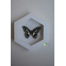 Бабочка в рамке под стеклом Парусник Демолей -  Papilio Demoleus (лат.) 