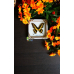 Бабочка в белой объемной рамке под стеклом Папилио Тоас - Papilio Thoas (лат.)